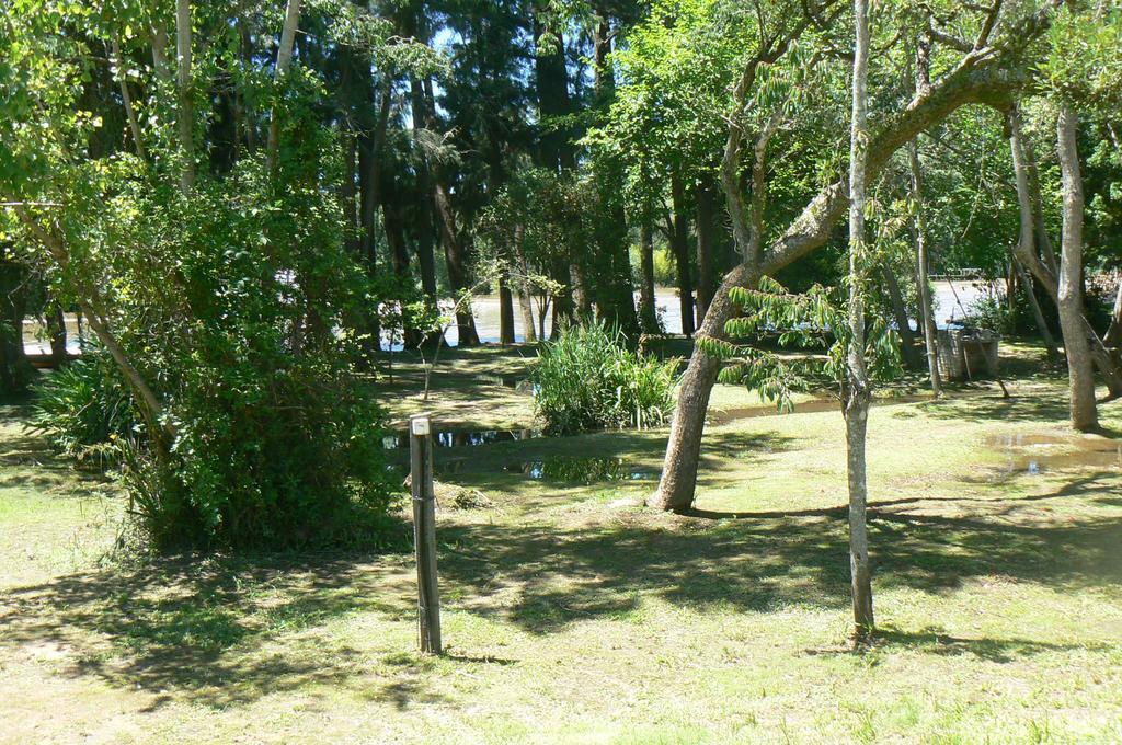 Posada Barlovento Тигре Стая снимка